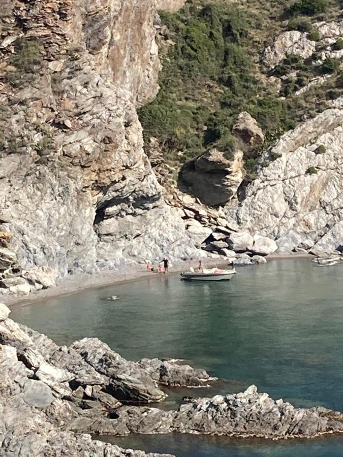 Mas De La Riviere Villa Villelongue-de-la-Salanque Eksteriør bilde