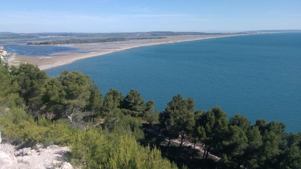 Mas De La Riviere Villa Villelongue-de-la-Salanque Eksteriør bilde